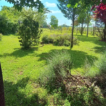 Location Schellenberger - Clos Saint Martin بيت للعطل